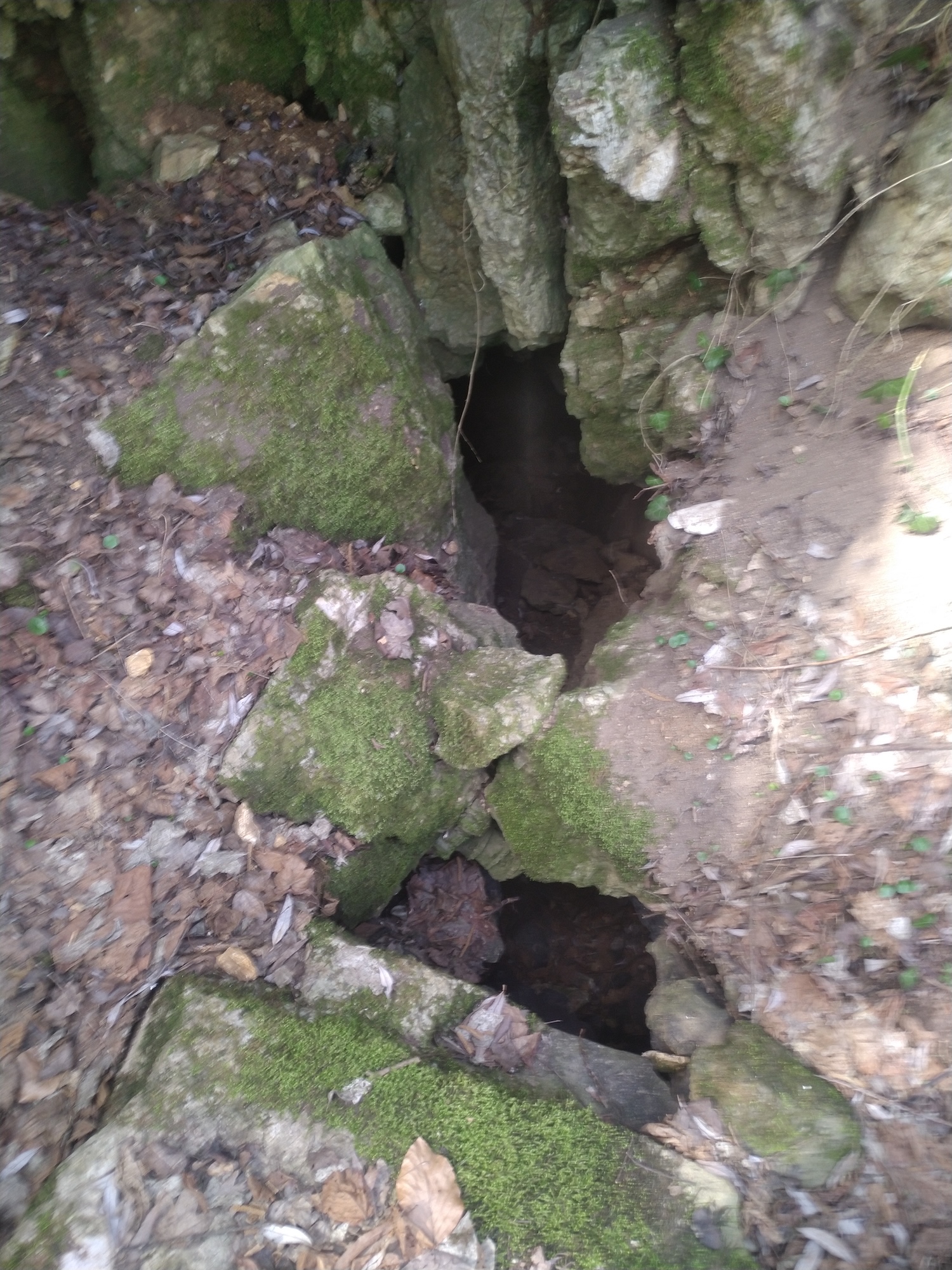 Pestera Ponor Olenica - Image 2